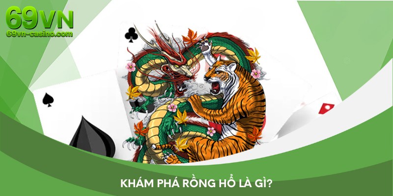 Khám phá rồng hổ là gì tại 69vn