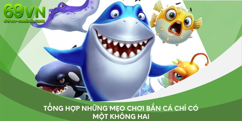 Tổng hợp những mẹo chơi bắn cá chỉ có một không hai