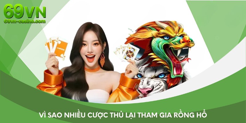 Lý do rồng hổ thu hút đông đảo cược thủ